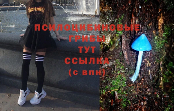 шишки Богородск