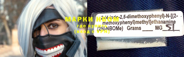 шишки Богородск