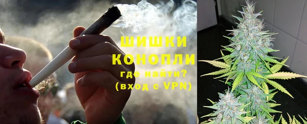 mdpv Богданович
