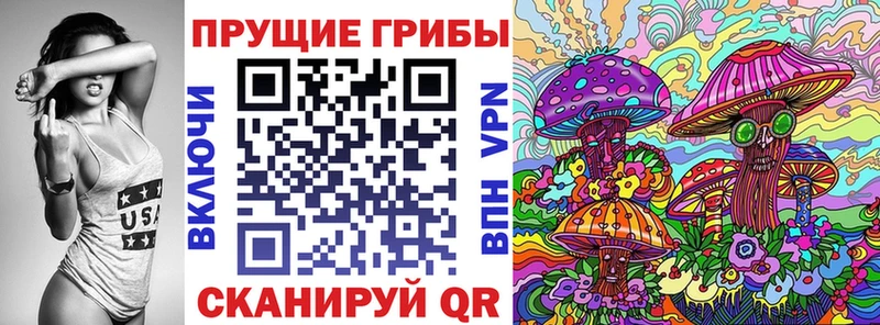 Купить закладки  Жиздра  Псилоцибиновые грибы Cubensis 